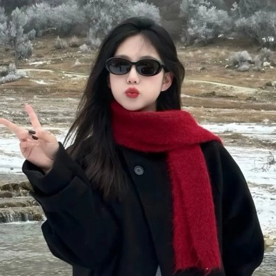 巅峰拍档第二十九季